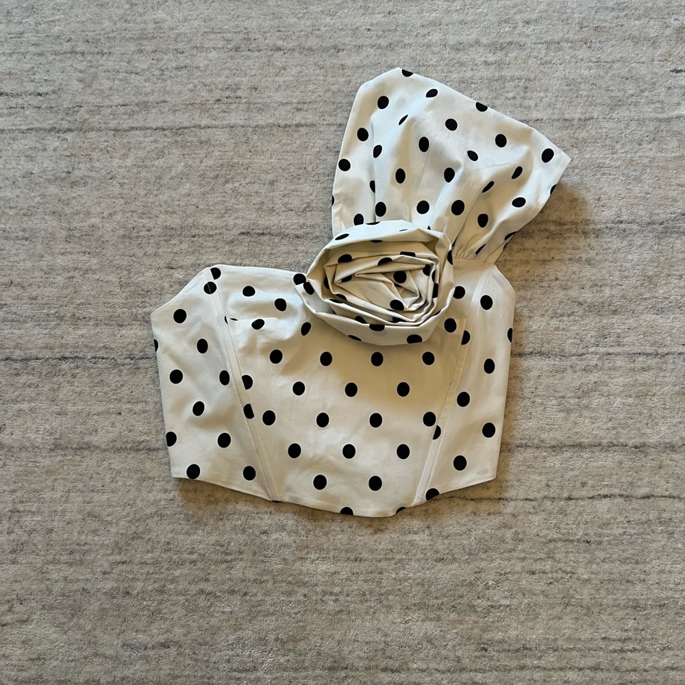 NWT Zara Rosette One Shoulder Crop Top
